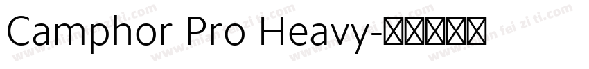 Camphor Pro Heavy字体转换